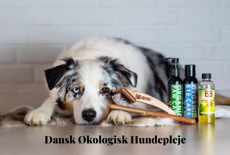 Kopi Af Special Offer 3 D Discount Instagram Post